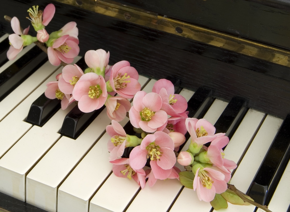 How to Choose the Perfect Funeral Songs to Celebrate a Life