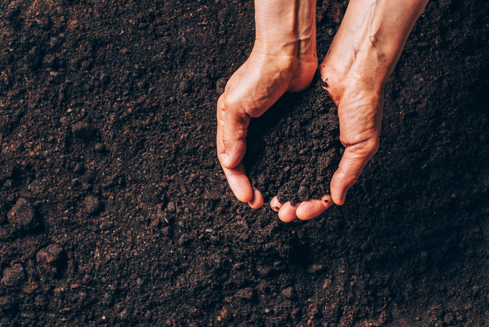 Human Composting (Natural Organic Reduction)